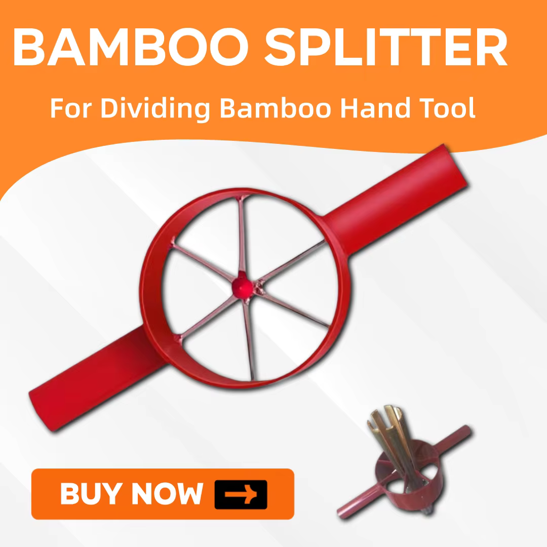 Séparateur de bambou 2/4/6/8 coupé, outil de séparation de bambou en acier adapté à diviser manuelle
