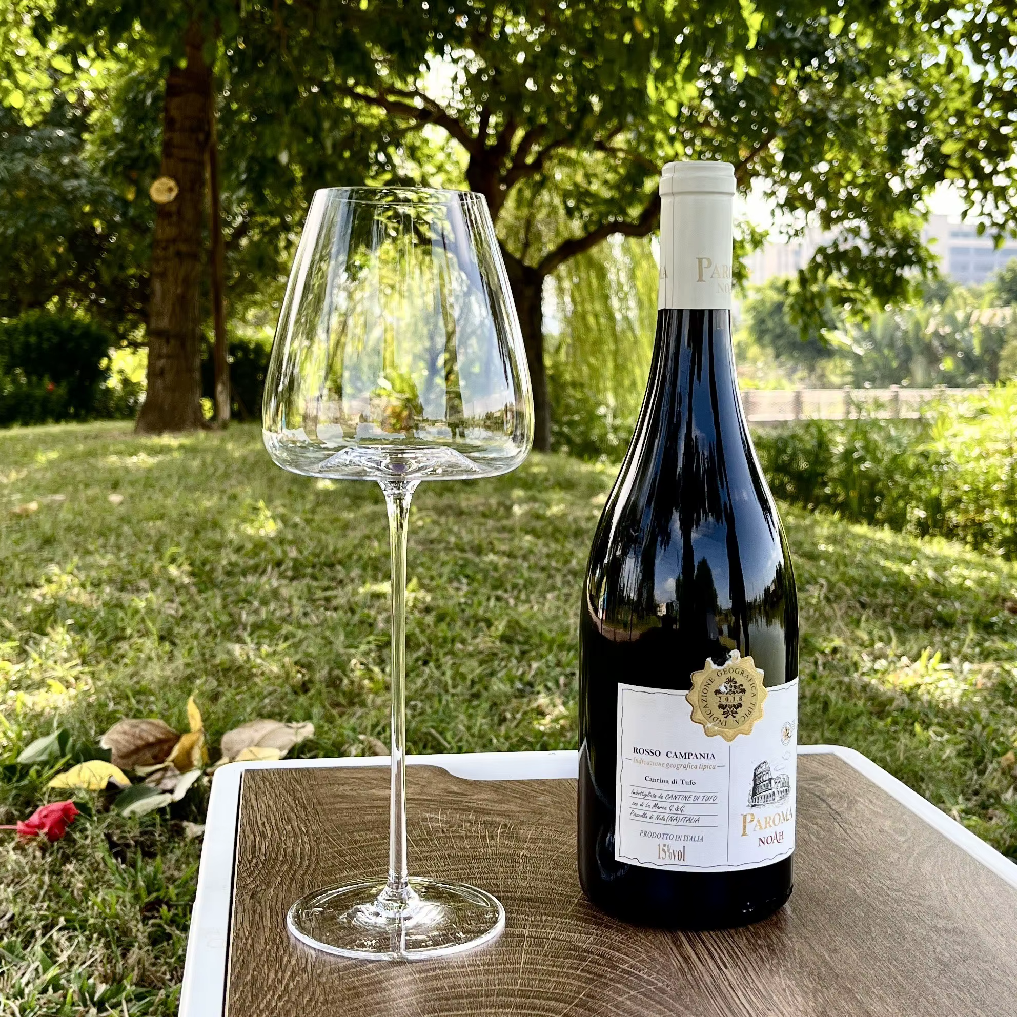 Verre à Vin Rouge Très Fin, Coupe Haut de Gamme, Bordeaux, Champagne, Blanc, pour Camping, 650ml/800