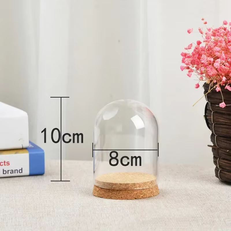 Cloche en forme de dôme en verre, Base en bois et liège, support de micropaysage, pot de cloche pour