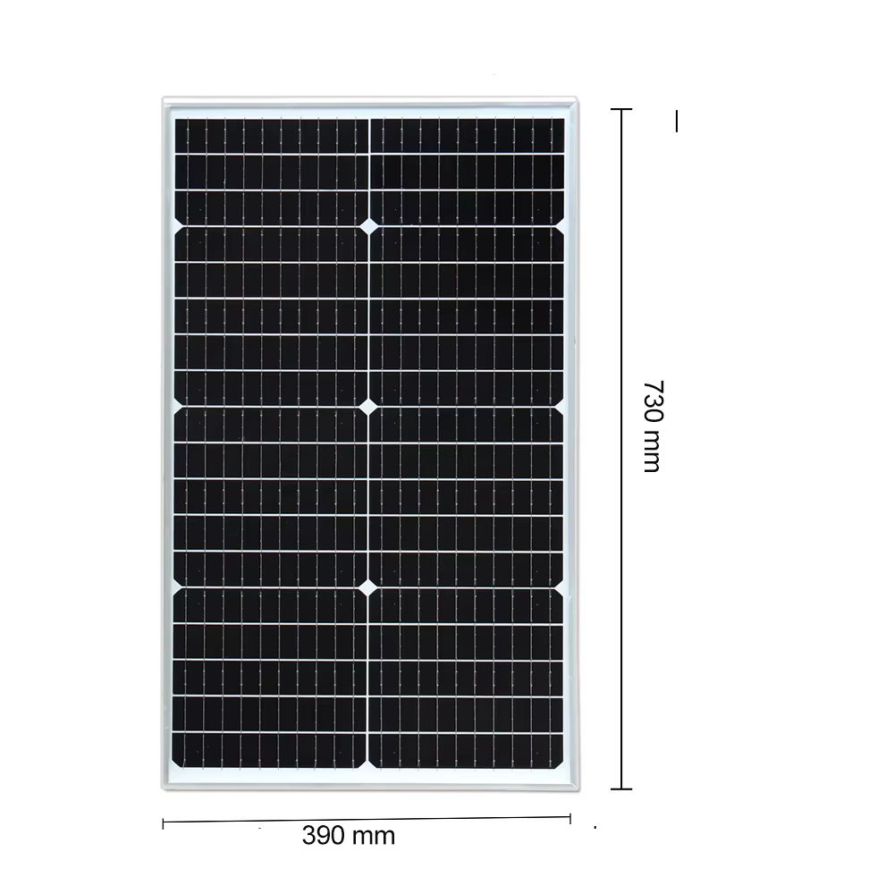 Panneau Solaire 50W /【50W /100W 12V Panneau Solaire Kit】50W 19.8V Chargeur Solaire Set: 50W Mono Pan
