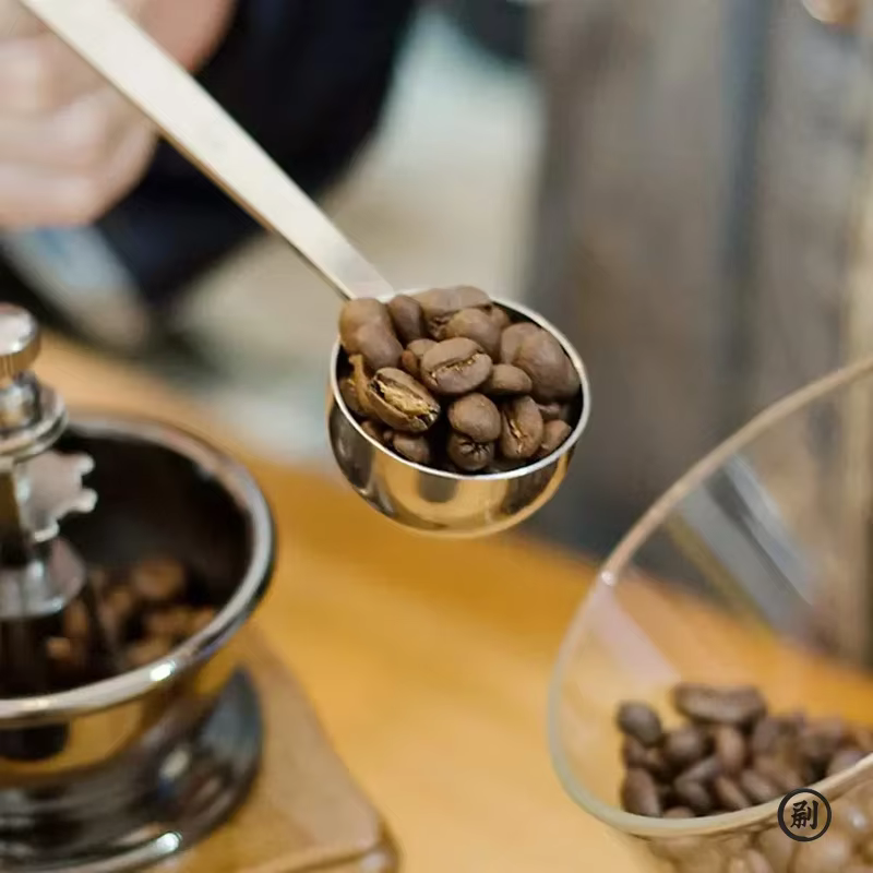 Cuillère doseuse minimaliste à long manche - 1 cuillère à soupe en acier inoxydable pour café, poudr