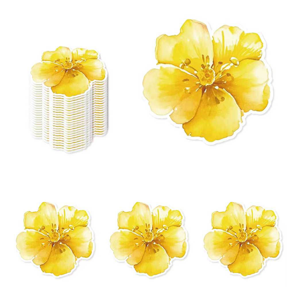 Lot de 25 sets de dessous-de-plat jetables en papier, écologiques, motifs fleurs aux couleurs vives,