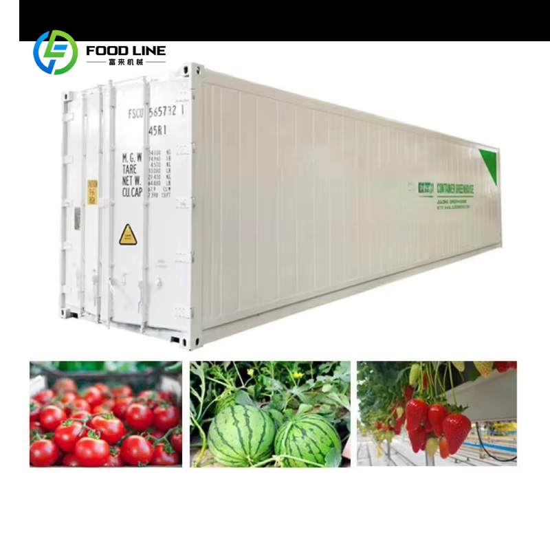Conteneur d'expédition personnalisé pour ferme verticale, culture hydroponique, usine de fourrage, s