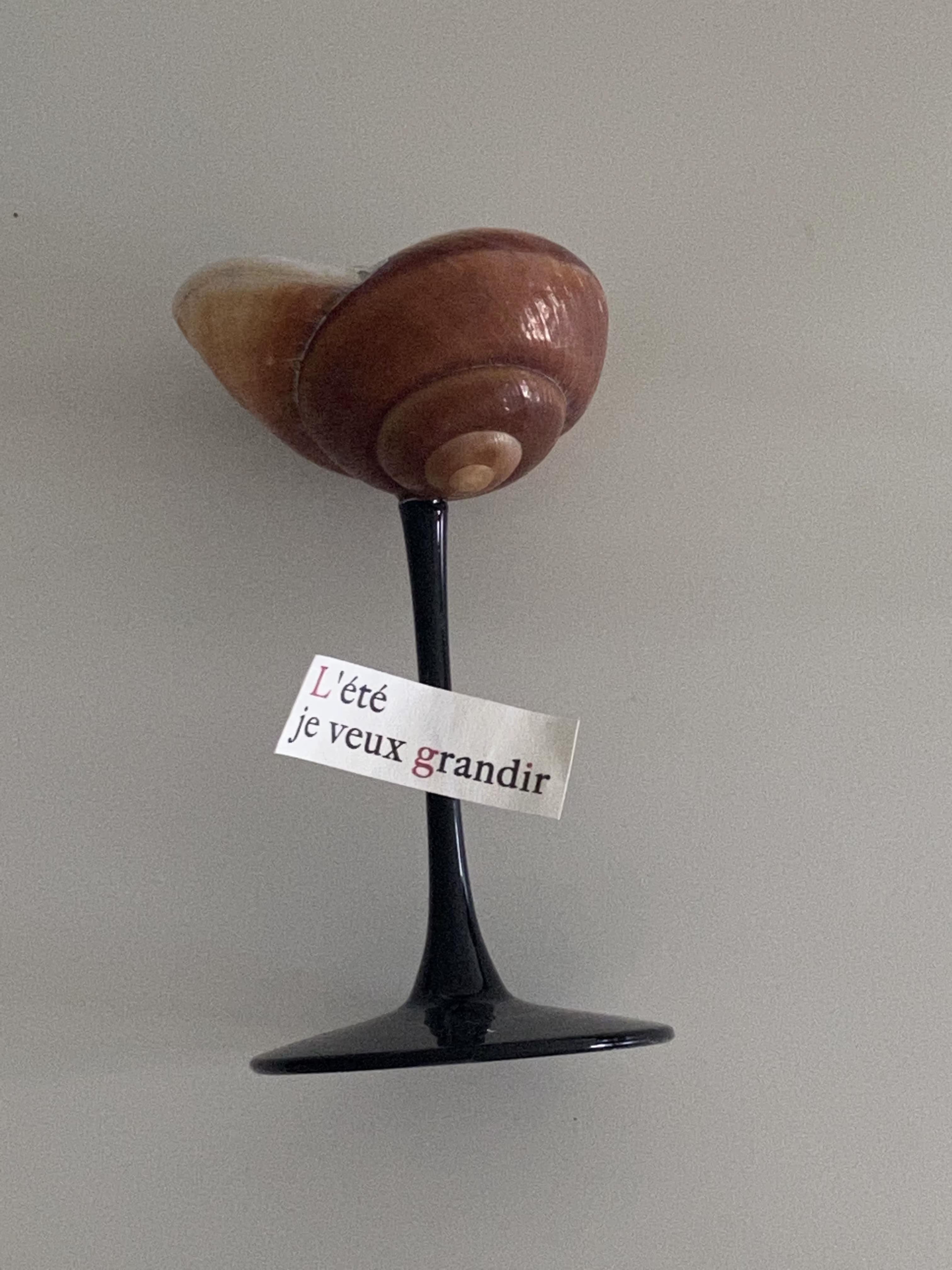 Verre à vin à tige haute conque artistique, Design de coquillage élégant, verres de luxe tendance po