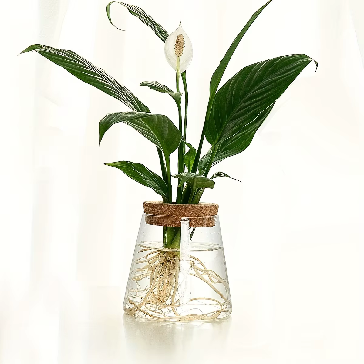 Station de propagation avec vases en verre – Support pour plantes de table pour coupures hydroponiqu