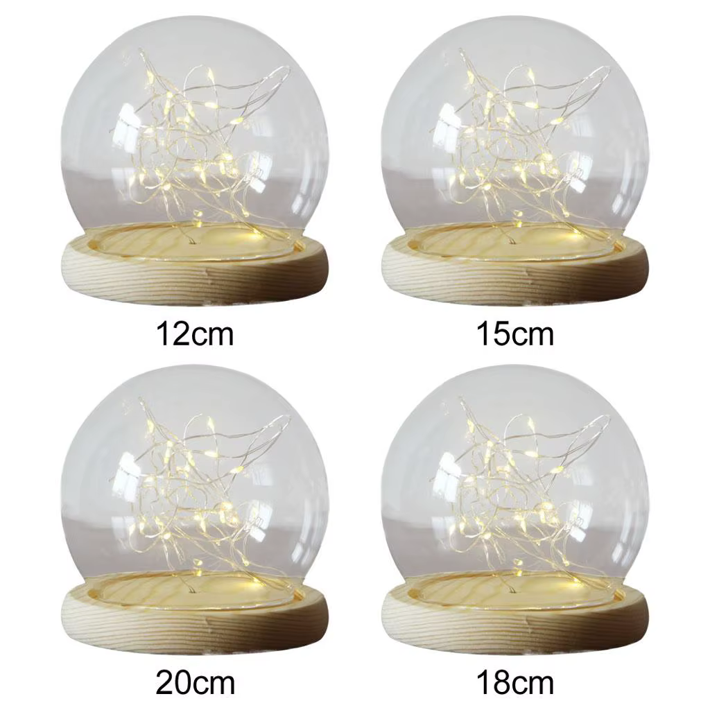 Cloche en forme de dôme en verre transparent avec Base en bois, vitrine Mini pour plantes
