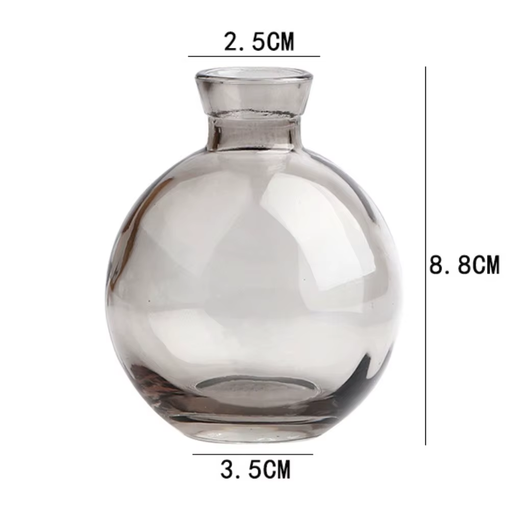 Mini vase à fleurs en verre transparent, bouteille de plantes hydroponiques, pot de fleurs simple, b