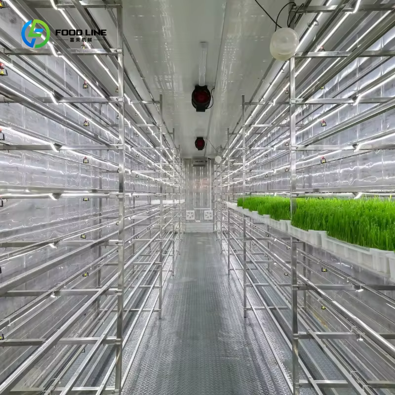 Conteneur d'expédition transformé en ferme verticale, système hydroponique de culture de fourrage, s