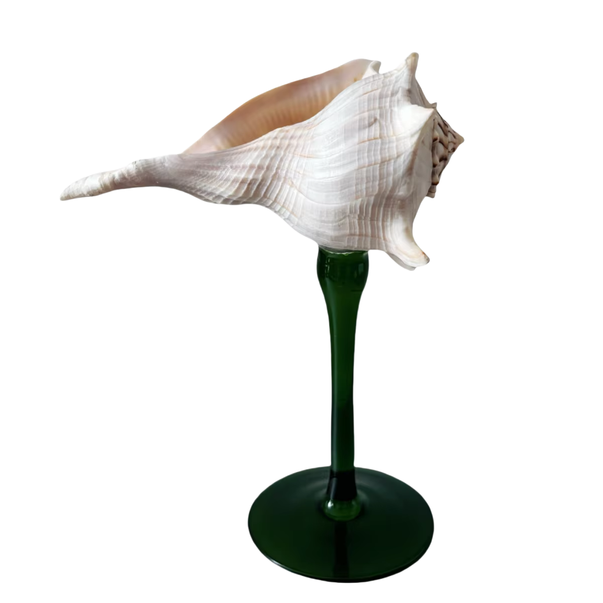 Verre à vin rouge à tige en coquille Vintage, verre à boire créatif, Design naturel, cadeau d'annive