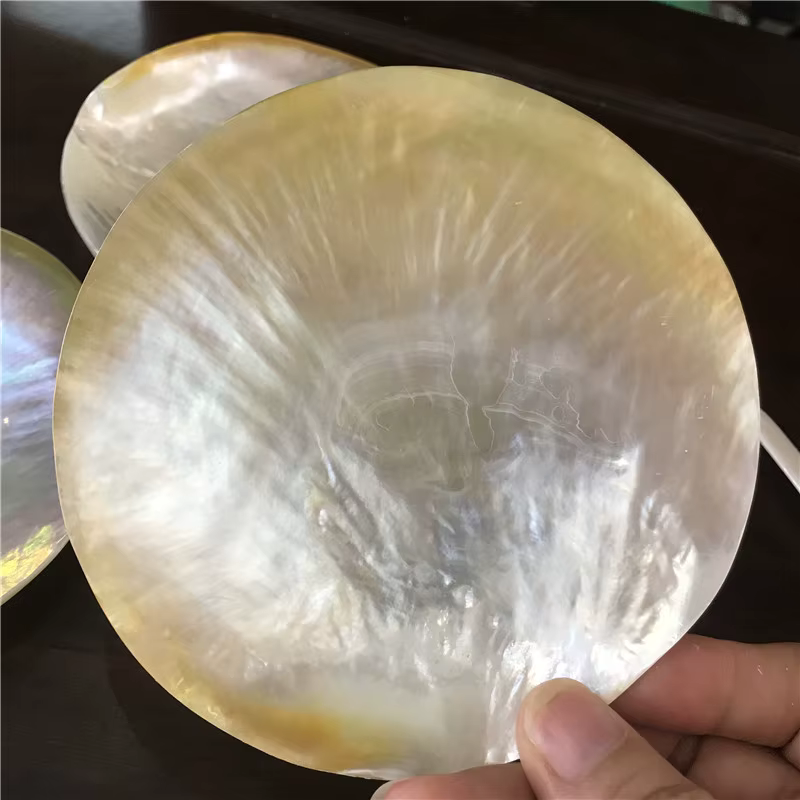 Assiette d'apéritif en coquillage naturel avec bord sculpté créatif, ensemble de plateaux de service