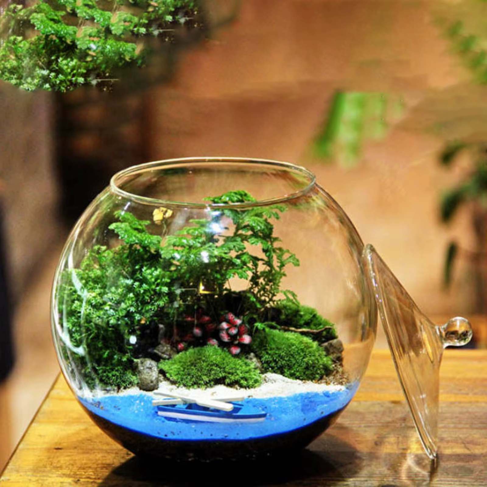 Pot de terrarium en verre scellé