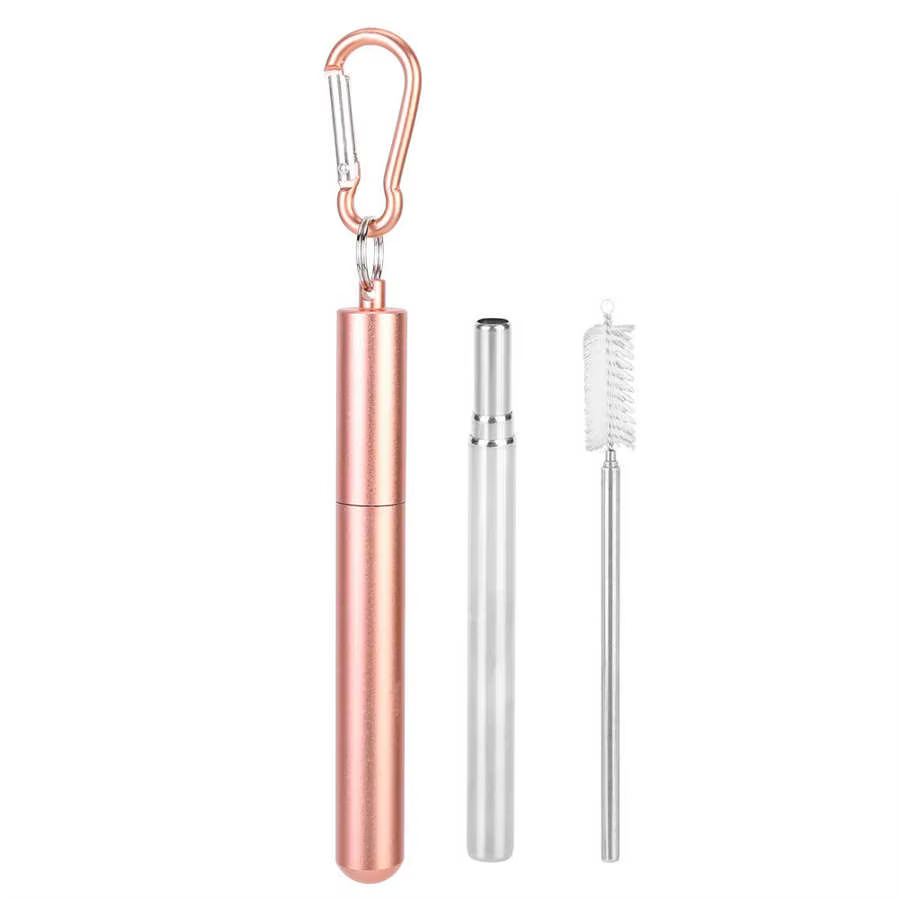 Paille Télescopique Réutilisable en Acier Inoxydable