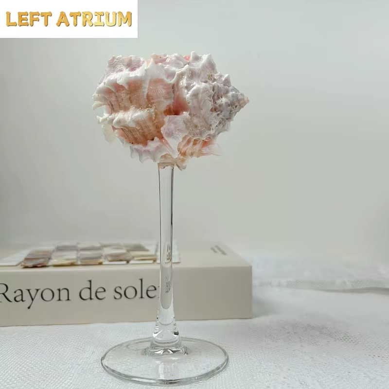 Tasse à pieds hauts en conque naturelle faite à la main