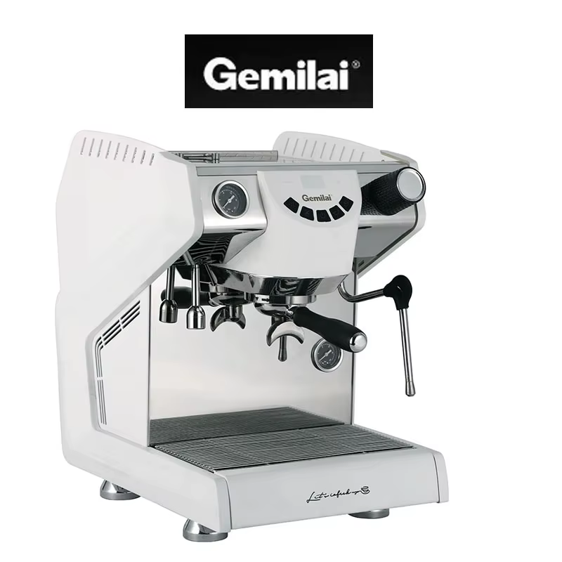 Machine à expresso italienne haut de gamme à double chaudière avec système d'extraction commerciale 58Pro pour usage domestique et commercial