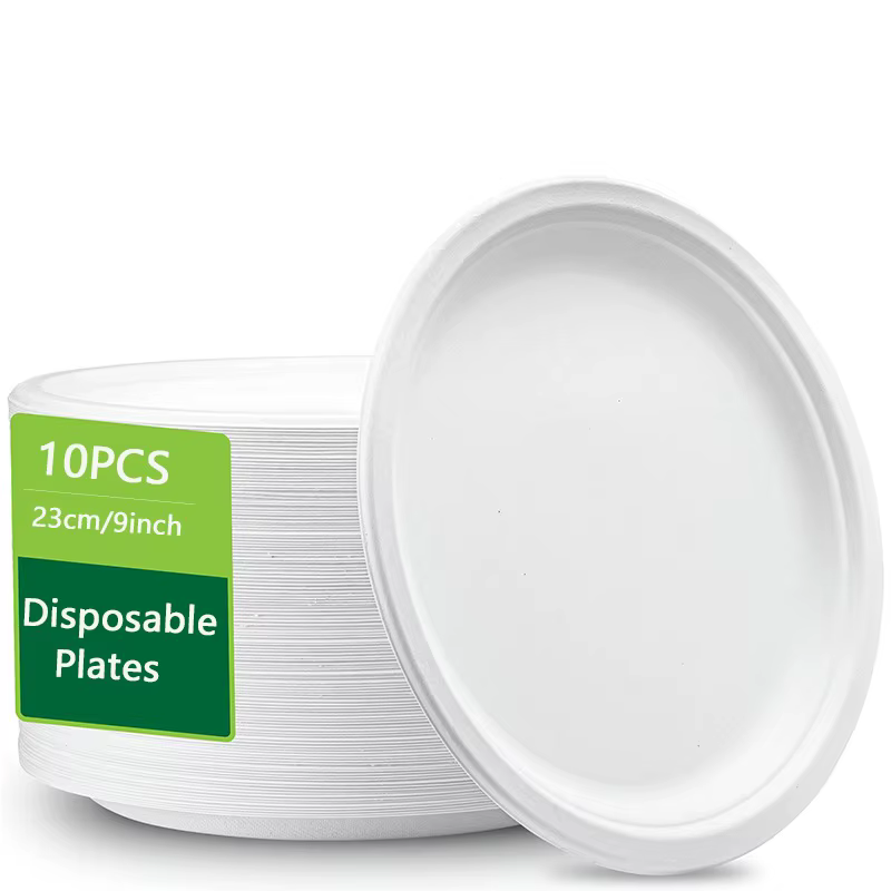 Assiettes jetables blanches