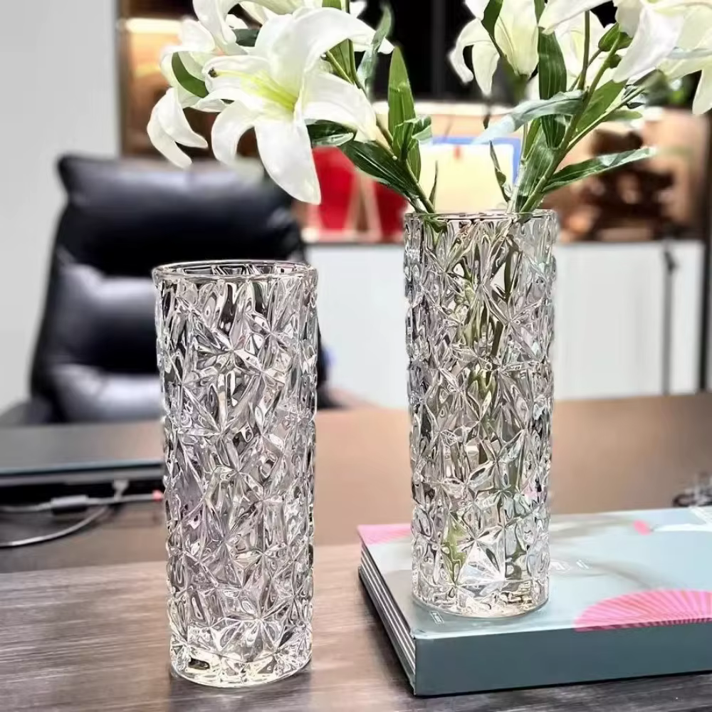 Vase en verre hydroponique transparent à motif glacier