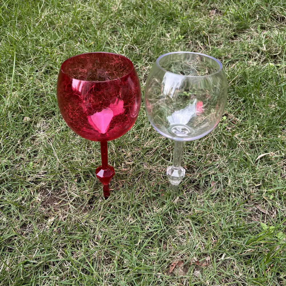 Flûtes à Champagne en Plastique et Acrylique
