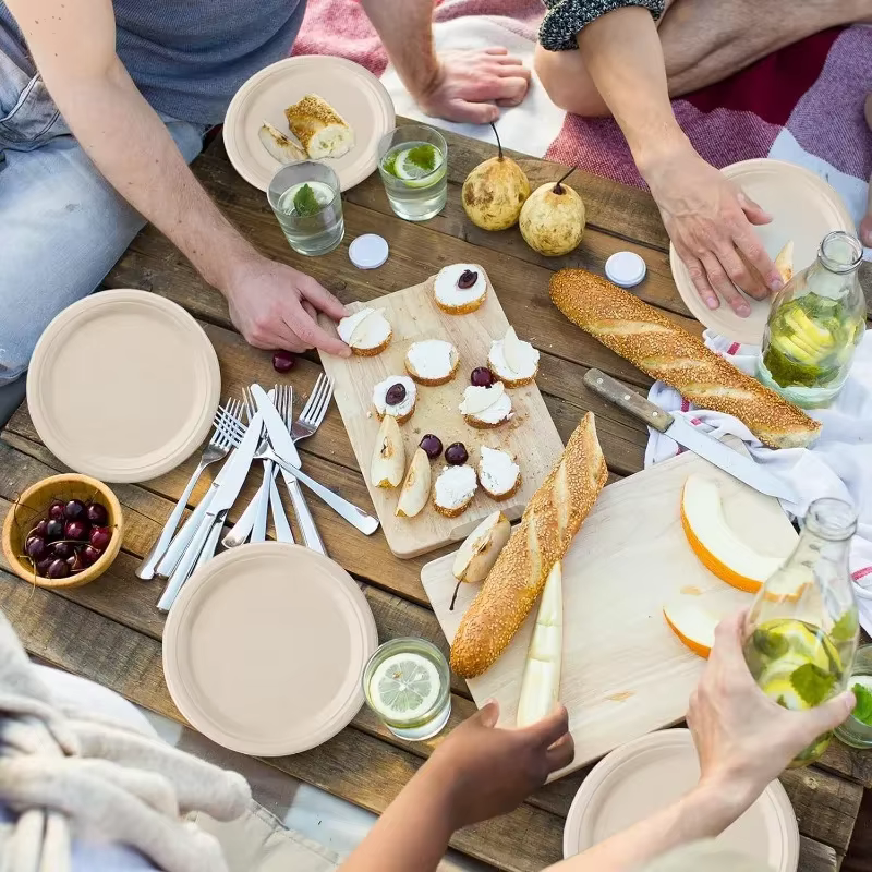 Assiettes circulaires en papier