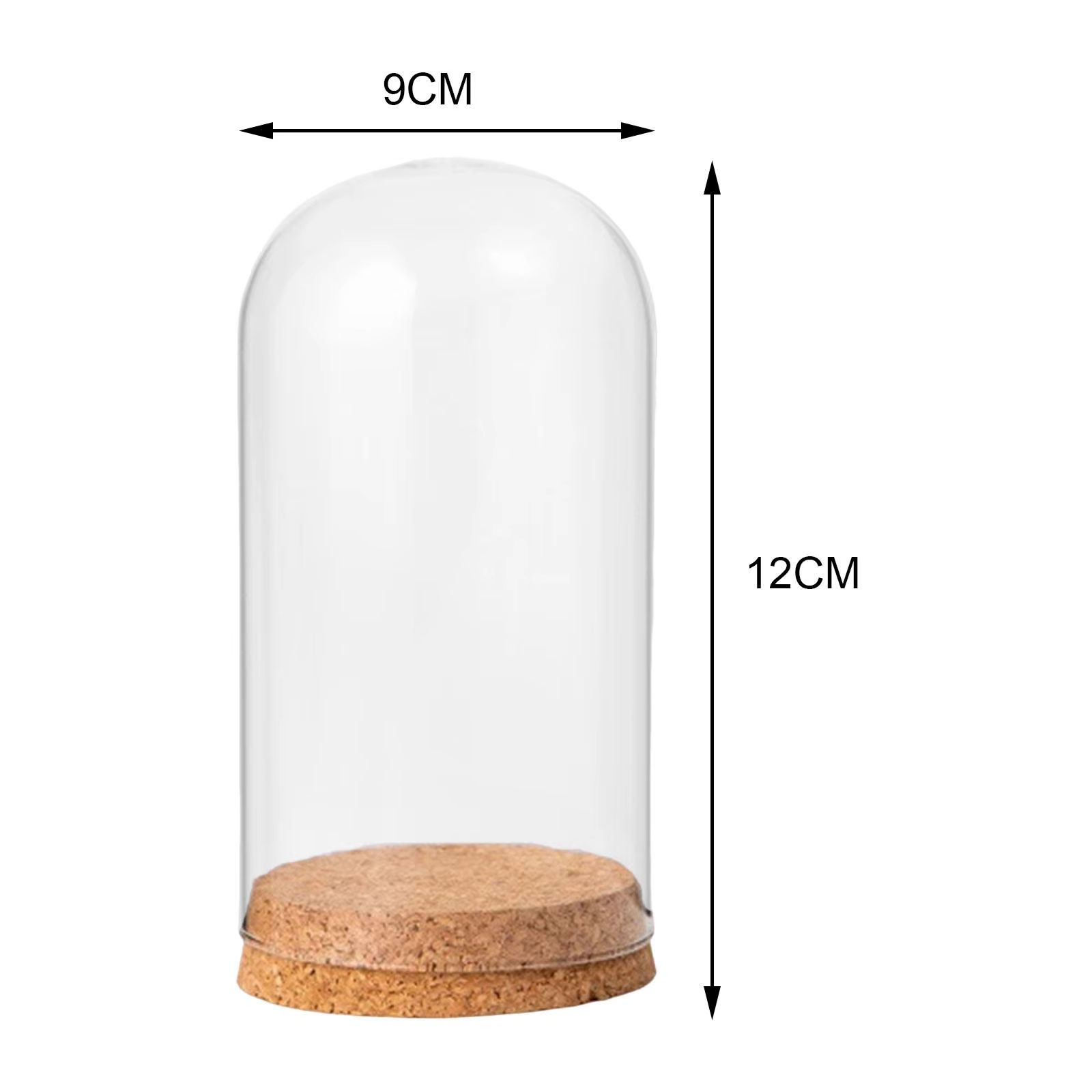 Dôme d'affichage cloche en verre avec Base en bois