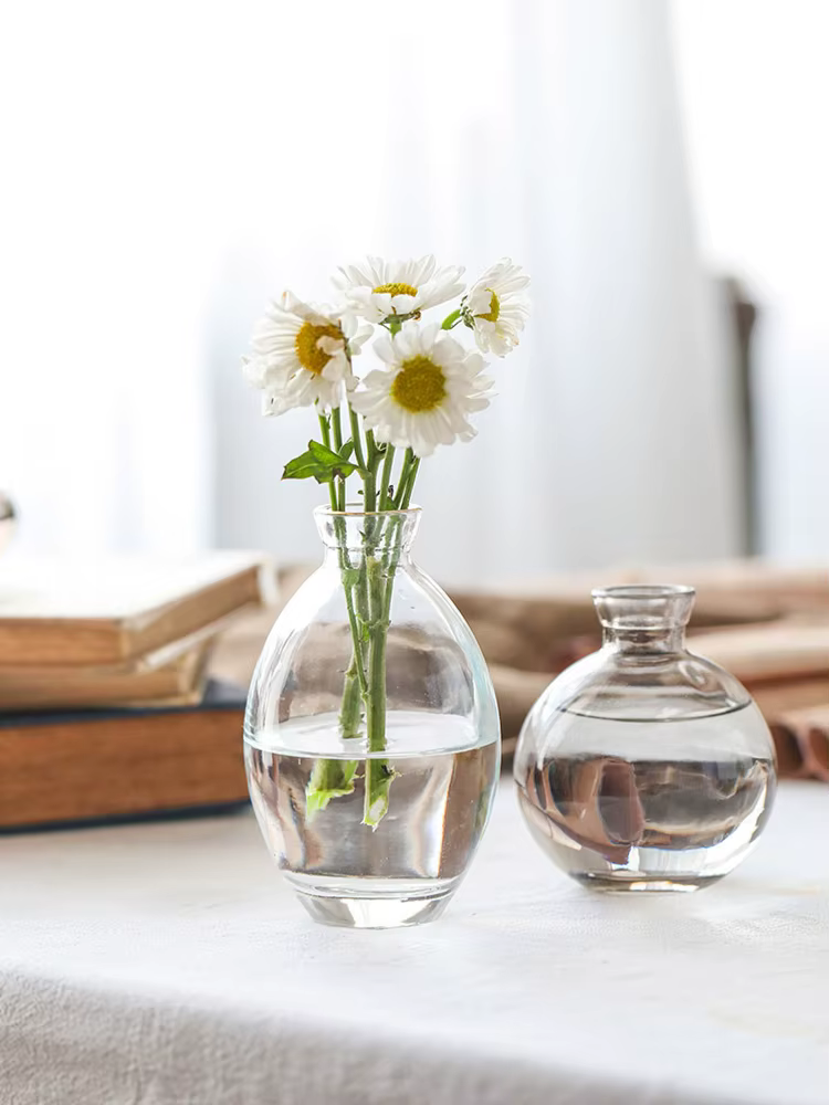 Vase en verre transparent pour plantes