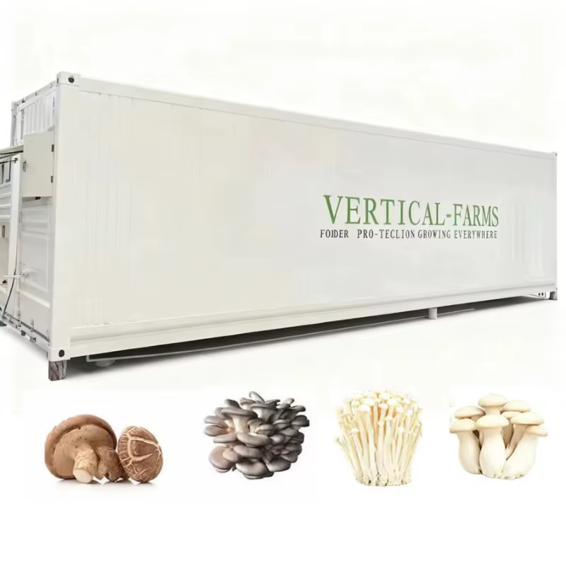 Conteneur d'expédition polyvalent personnalisé pour ferme, environnement contrôlé intelligent pour la culture de champignons, légumes-feuilles, herbes et fraises