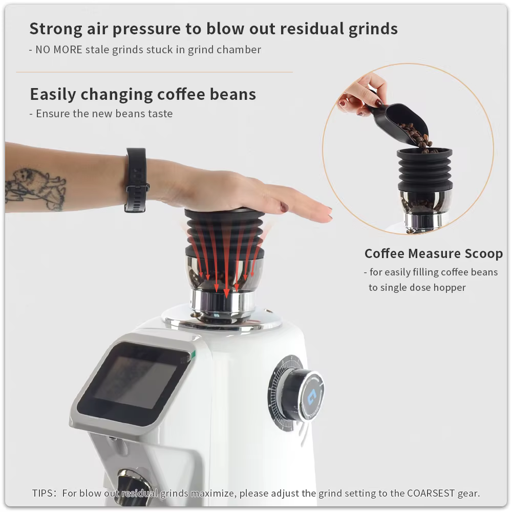 CAFEBiens Y-Moulin à café expresso à trémie à dose unique