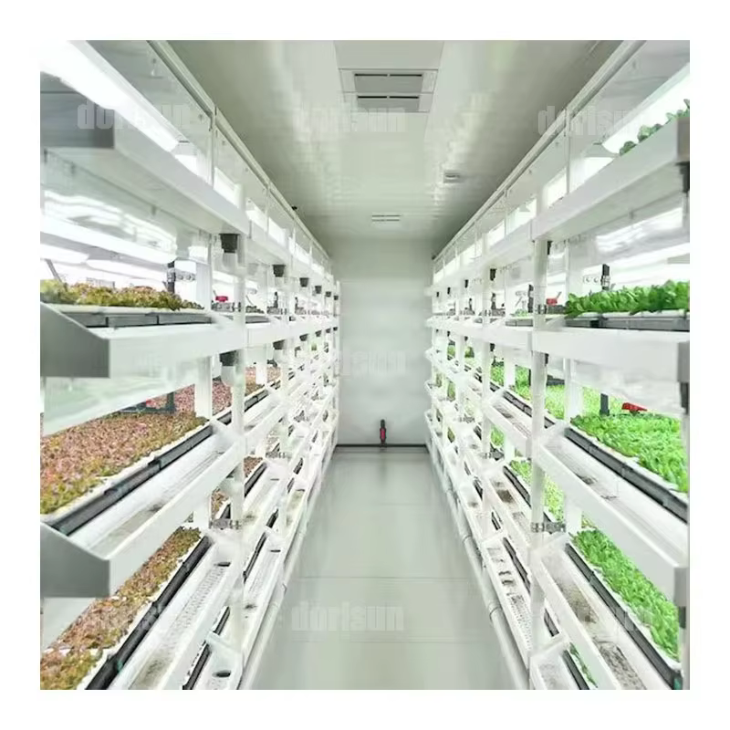 Conteneur d'expédition polyvalent personnalisé pour ferme, environnement contrôlé intelligent pour la culture de champignons, légumes-feuilles, herbes et fraises