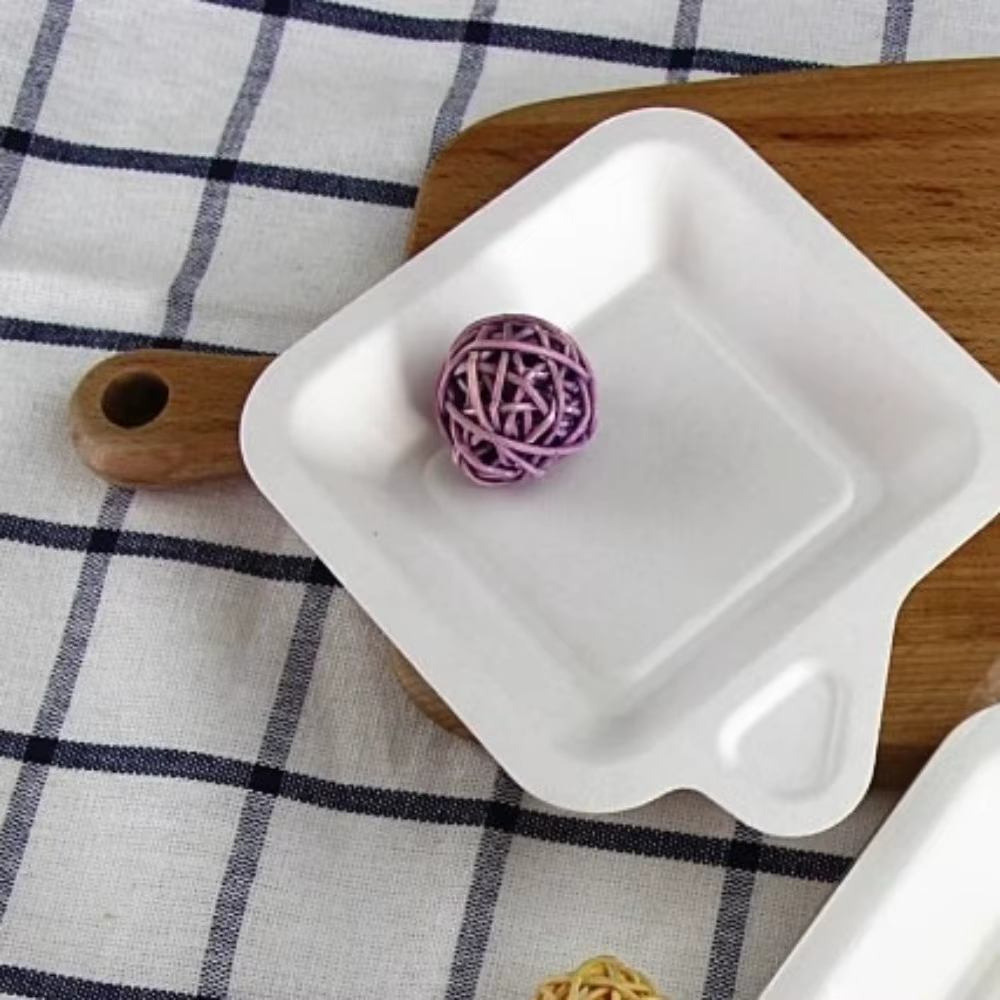 Assiette en papier jetable en matériau biodégradable