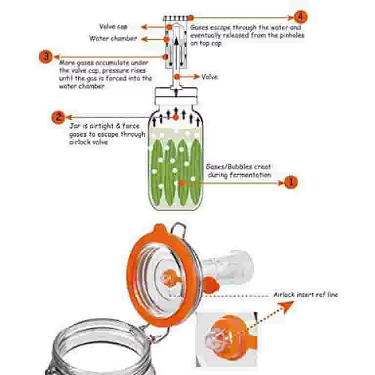 Pot de fermentation, pot de fermentation en verre de 1
