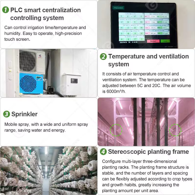 Ferme aéroponique en conteneur maritime avec électricité solaire, culture hydroponique verticale de laitue, champignons, safran, sur mesure