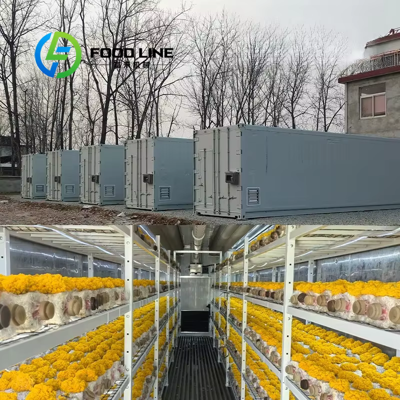 Conteneur d'expédition industriel moderne pour la culture de champignons, équipement de culture de champignons, salle intelligente et automatique pour la culture de champignons en conteneur