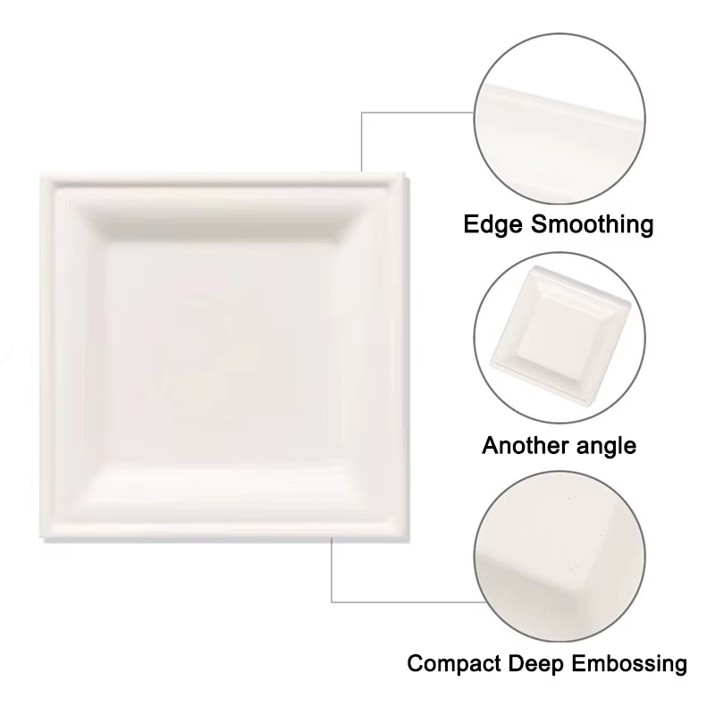 Assiettes carrées en papier de poulet