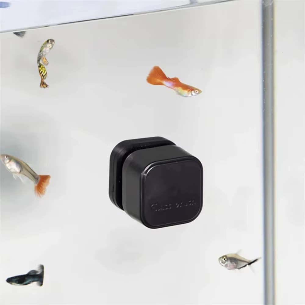 Brosse magnétique pour nettoyer les vitres d'aquarium, mini grattoir carré en plastique pour les algues des poissons, entretien précieux adapté aux divers poissons, 1 pièce