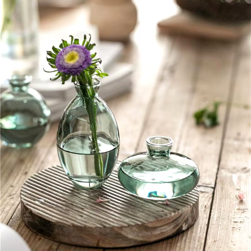 Vase en verre transparent pour plantes