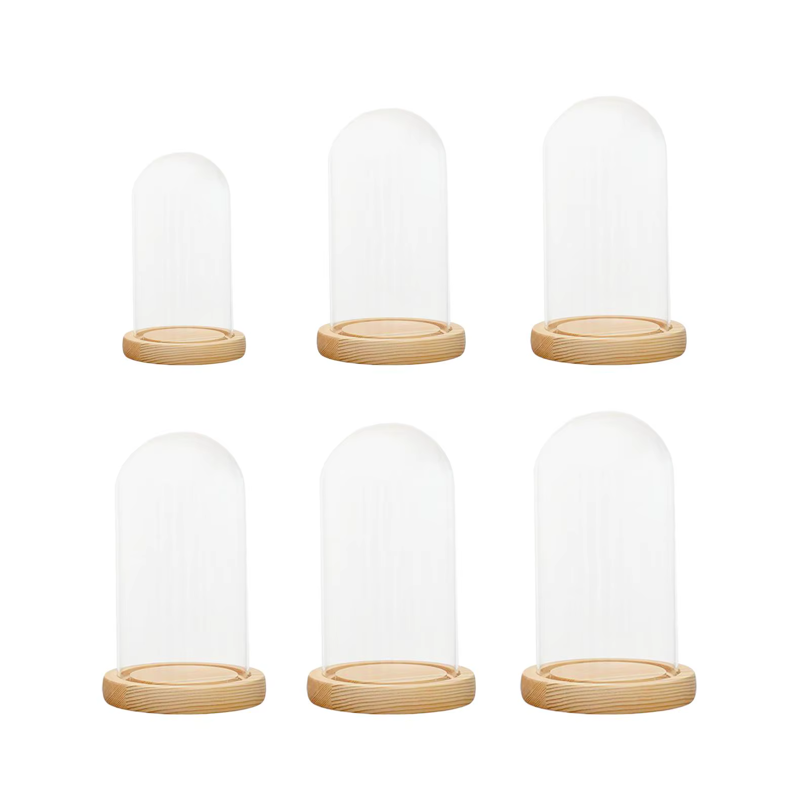 Cloche en verre, pot de cloche