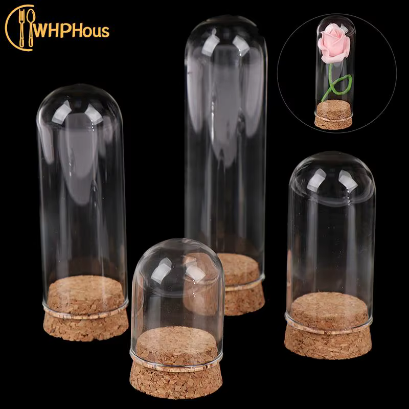 Cloche en verre avec base en bois