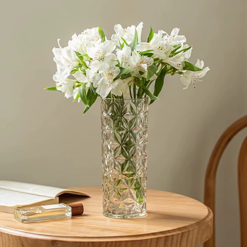 Vase en verre hydroponique transparent à motif glacier