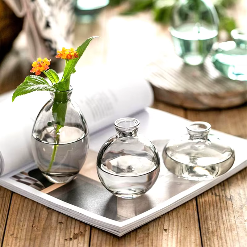 Vase en verre transparent pour plantes