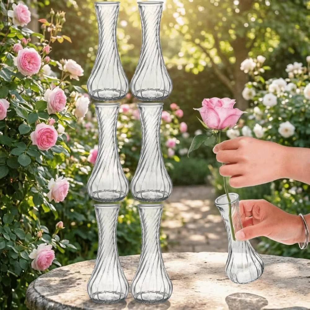 Lot de 6 mini-vases en verre transparents pour décoration de table