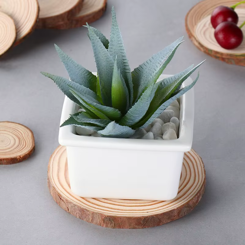 Sous-verres ronds en bois naturel
