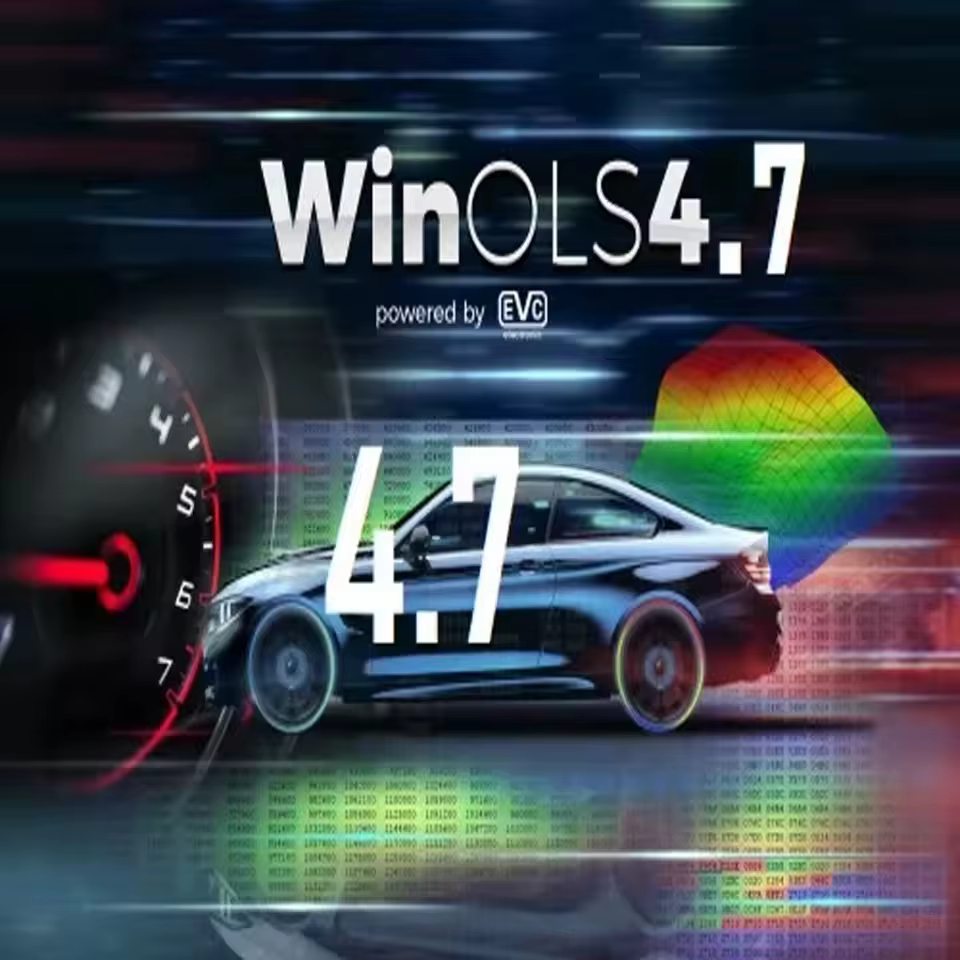 Winols 4.7 Entièrement Activé +800GB Damos Windows 10 11 Sans Virtuel Multilingue +ECM TITANIUM 1.61 + Outil de Service IMMO 4 en 1