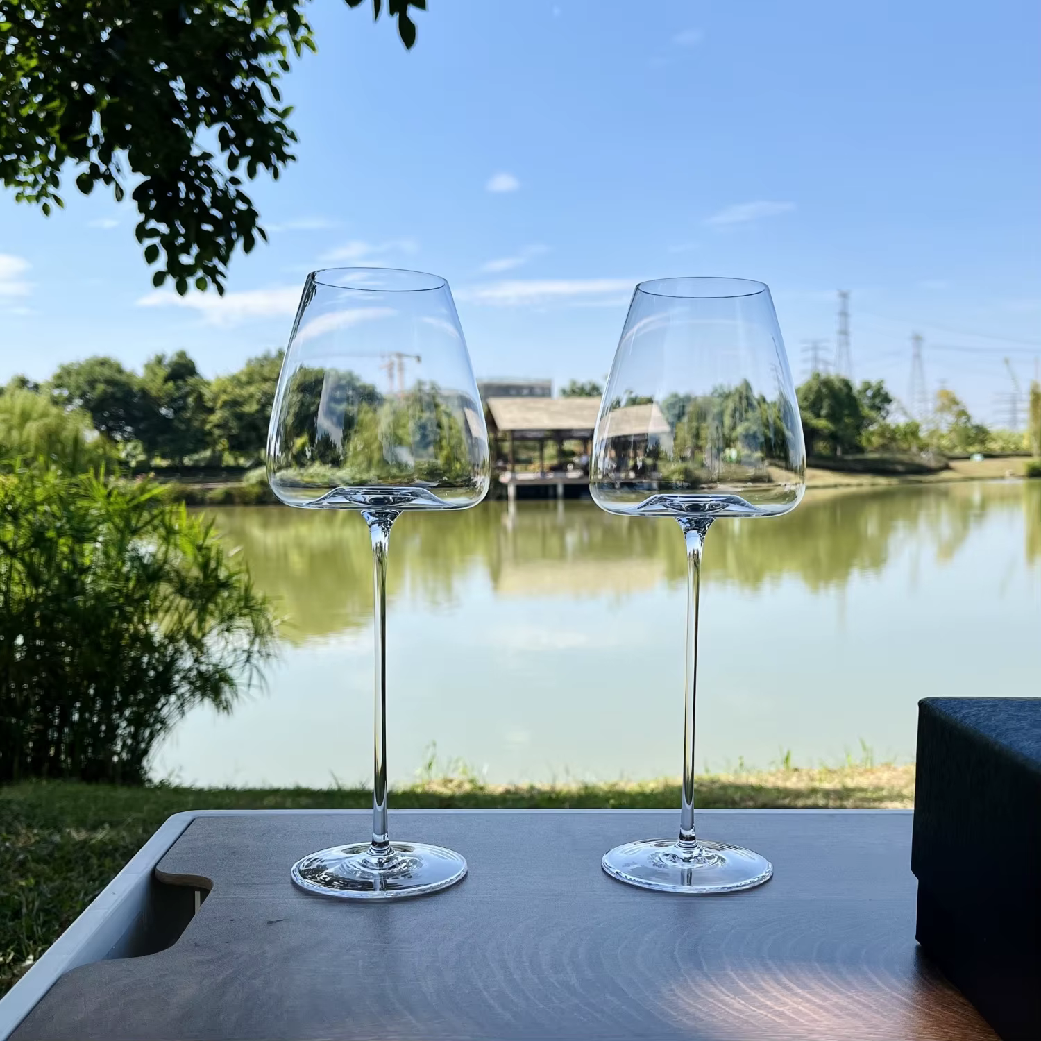 Verre à Vin Rouge Très Fin