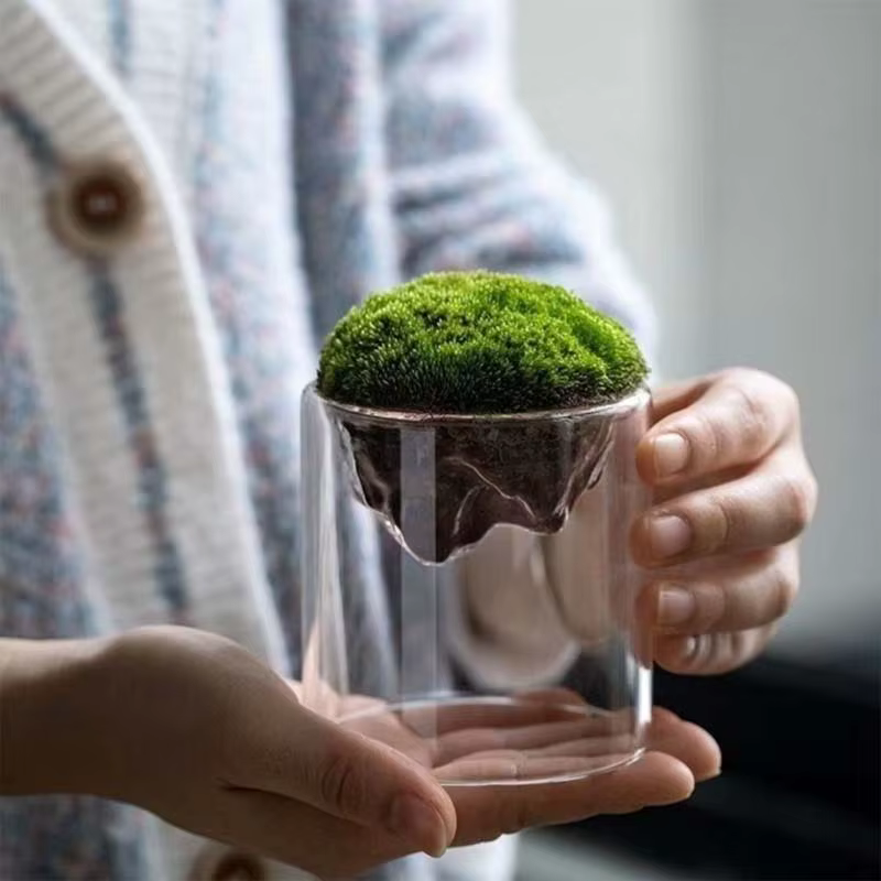 Bouteille de Mousse en Verre Épais