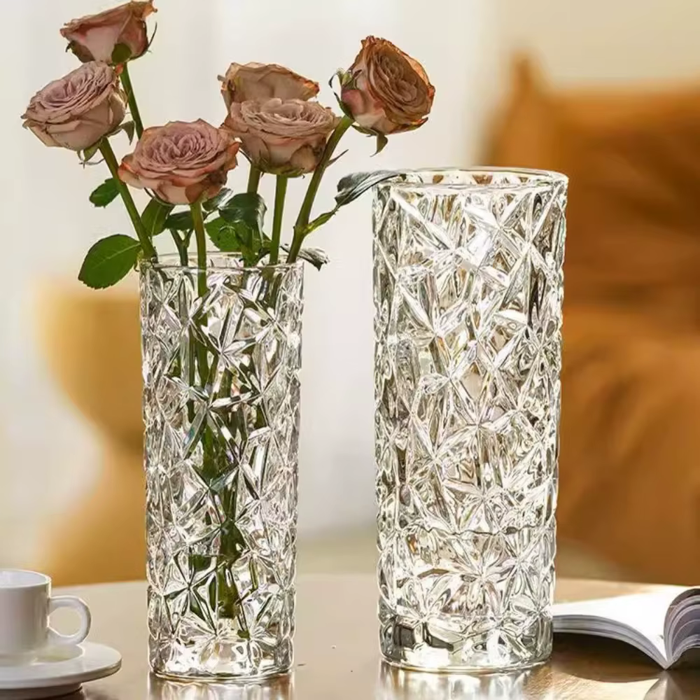 Vase en verre hydroponique transparent à motif glacier