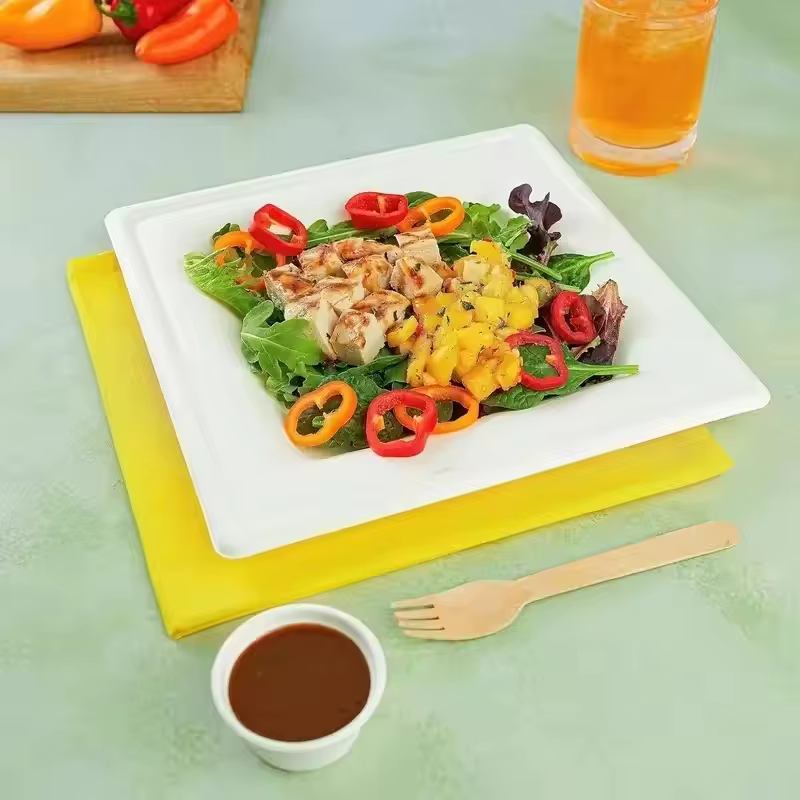Assiettes carrées en papier de poulet