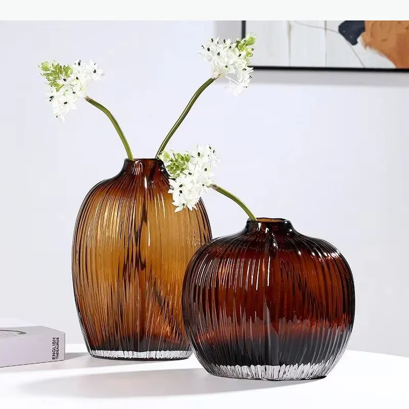 Vase en verre hydroponique transparent