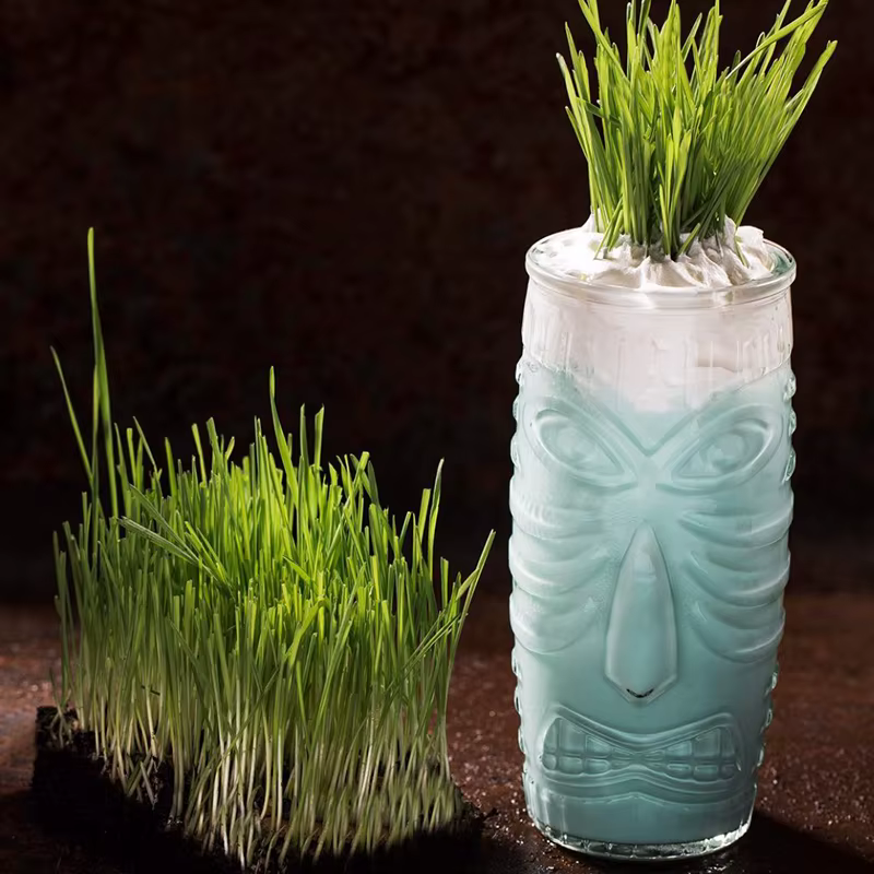 Bar Tiki Lunettes Tiki Mug - Gobelets transparents en verre de style hawaïen