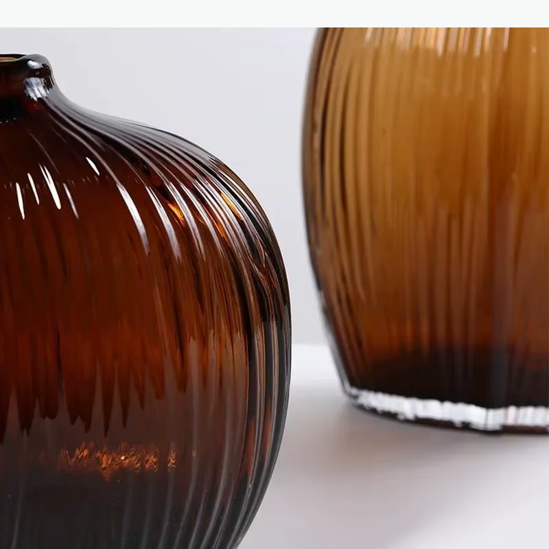 Vase en verre hydroponique transparent