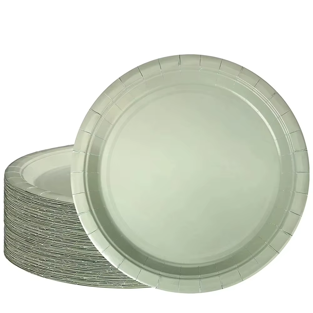 Assiette de couleur unie vert sauge