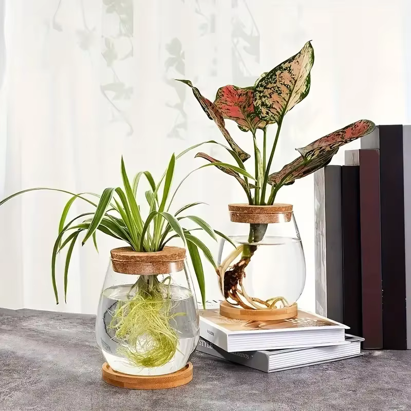 Pot en verre hydroponique - Vase de propagation moderne pour plantes d'intérieur et décoration intérieure